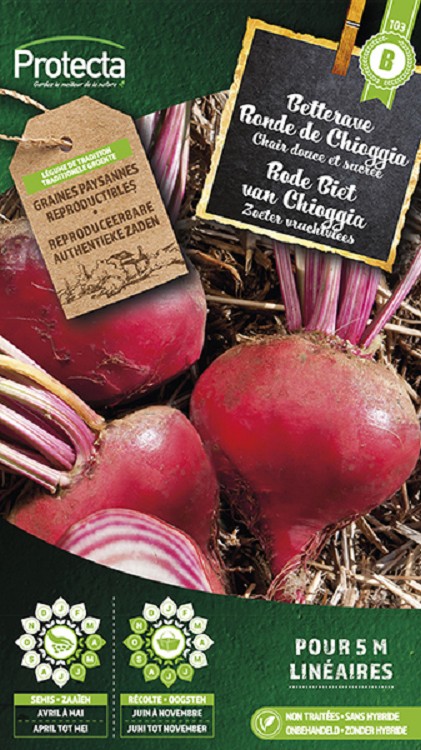 Rode Biet van Chioggia nr. 103