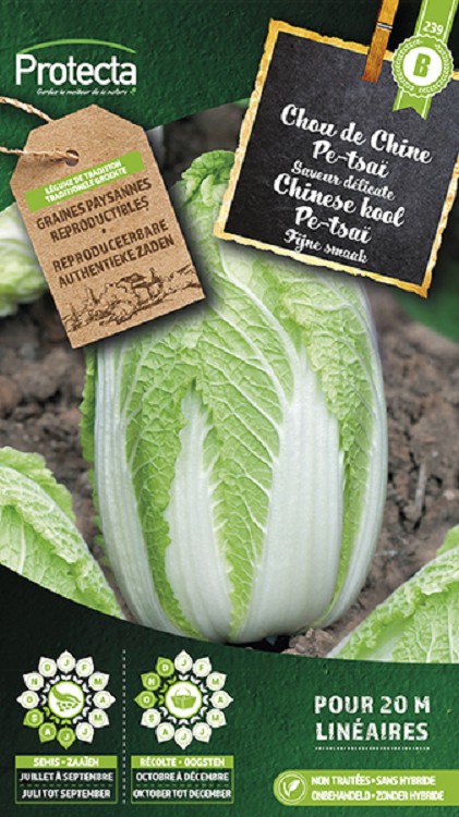 Chinese kool Pe-tsaï nr. 239