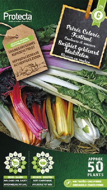 Snijbiet met gekleurd bladstelen nr. 256