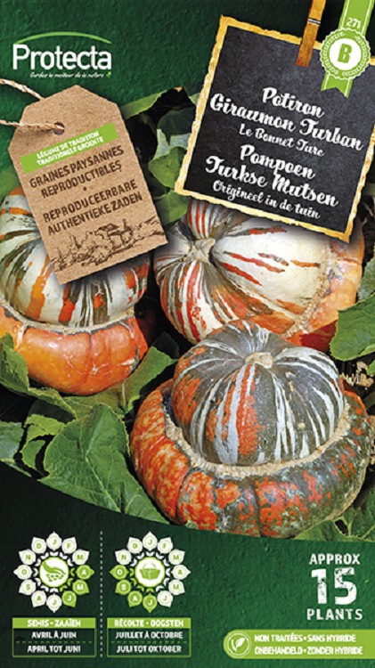 Pompoen Turkse Mutsen nr. 271