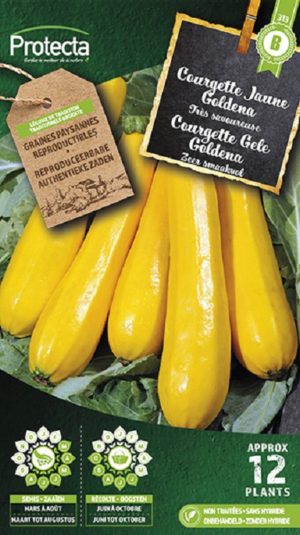 Courgette Gele nr. 313