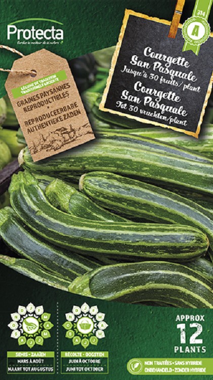 Courgette San Pasquale nr. 314