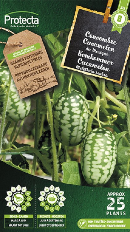 Cucamelon Mexicaanse komkommer nr. 315