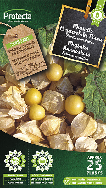 Physalis ananaskers nr. 317