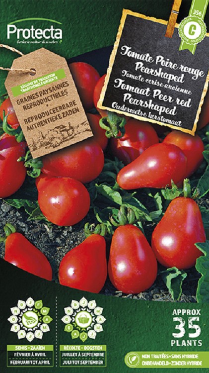 Tomaat Peer Red Pearshapped nr. 356