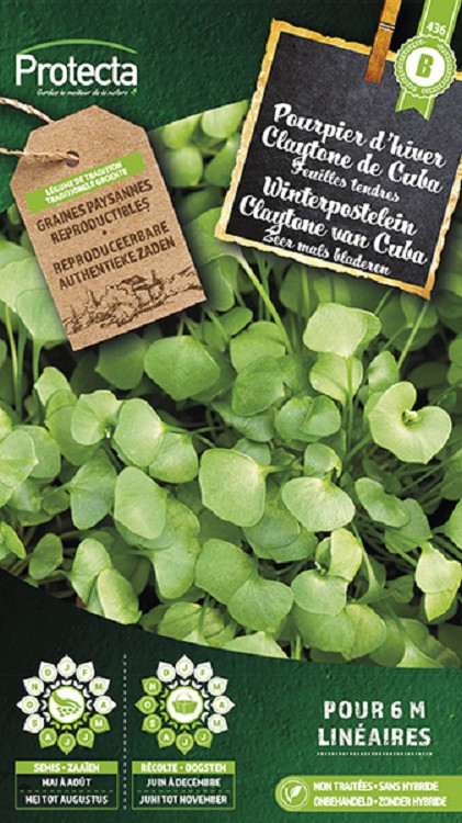 Claytone van Cuba, winterpostelein nr. 436