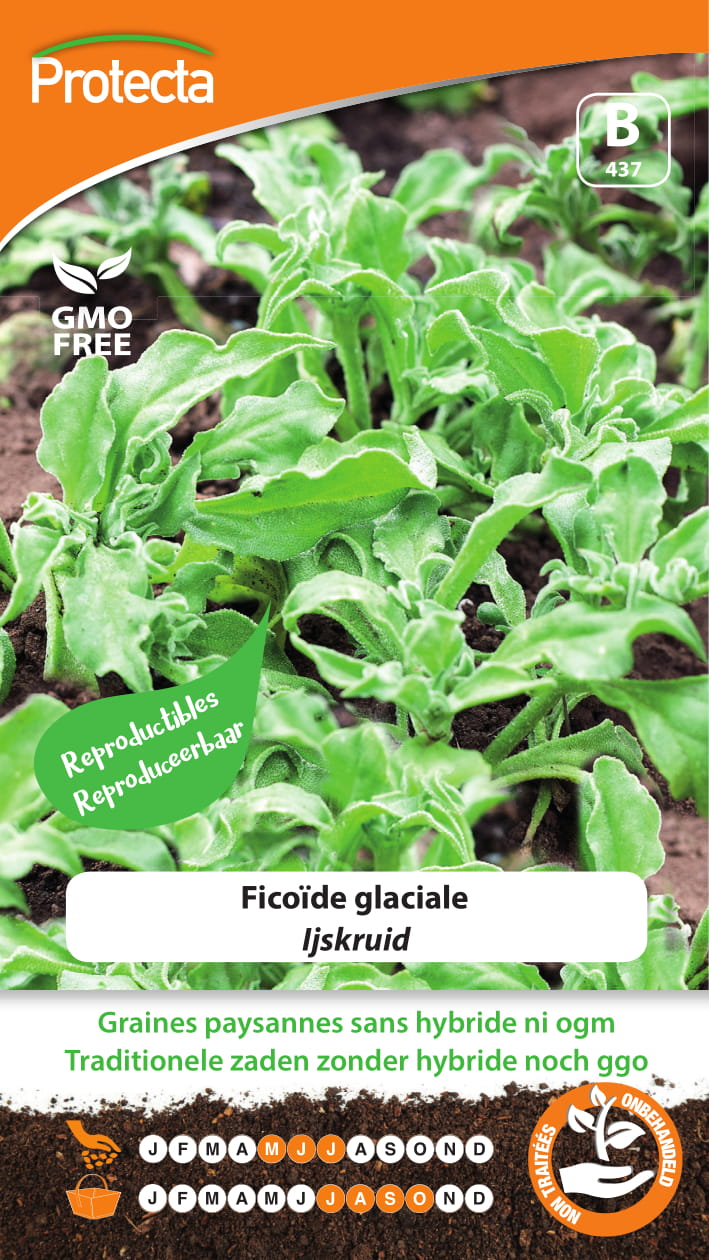 Ijskruid nr.437