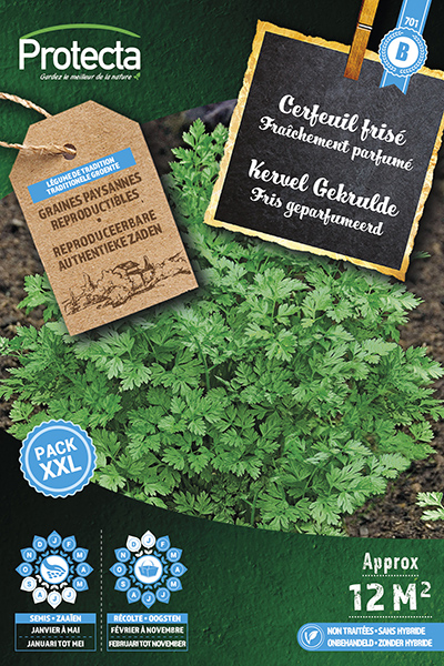 Kervel Gekrulde XXL nr. 701