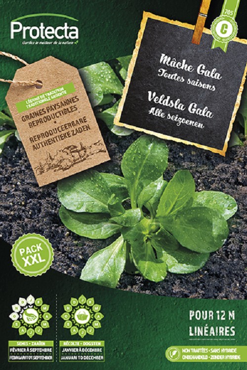 Veldsla heel jaar rond Gala XXL nr. 705