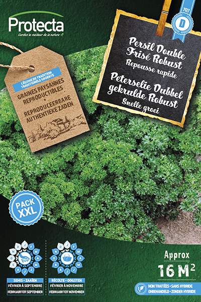 Peterselie Dubbel gekrulde Robust XXL nr. 707