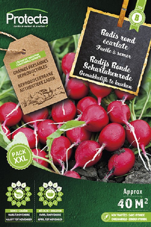 Radijs Ronde Scharlakenrode XXL nr. 708