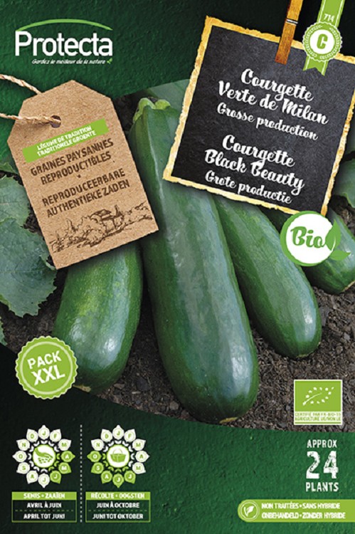Courgette Black Beauty FR-BIO-15 XXL nr. 714