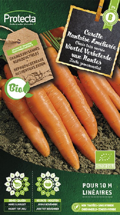 Wortel Verbeterde van Nantes FR-BIO-15 nr. 116