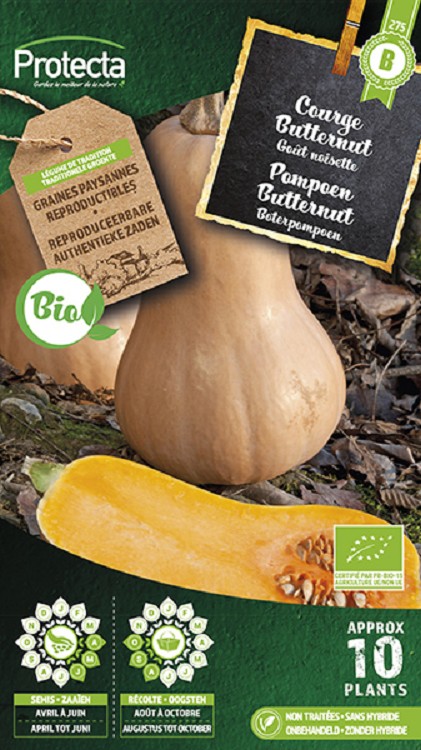 Pompoen Butternut FR-BIO-15 nr. 275