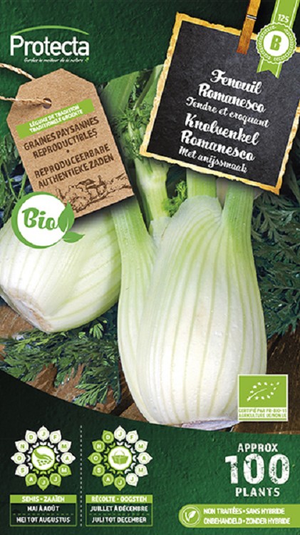 Knolvenkel Romanesco FR-BIO-15 nr. 125