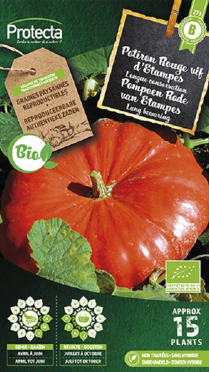 Pompoen Rod van Etampes FR-BIO-15 nr. 273