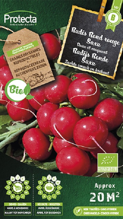 Radijs Ronde Rode Saxa 2 FR-BIO-15 nr. 147