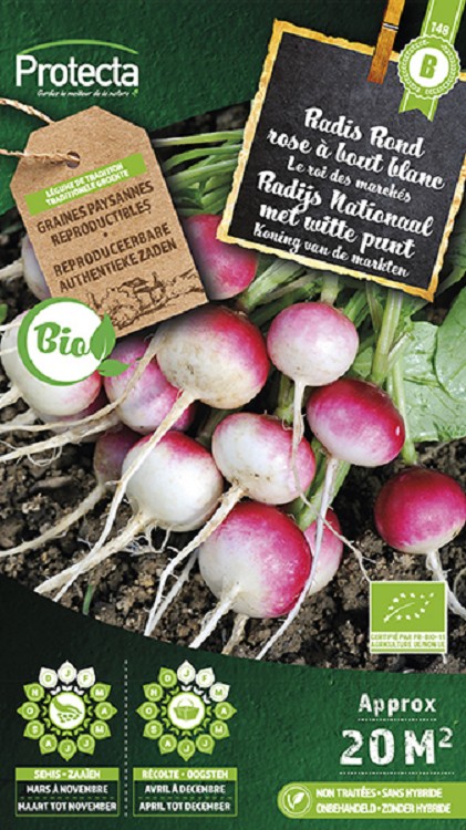 Radijs Ronde met witte punt FR-BIO-15 nr. 148