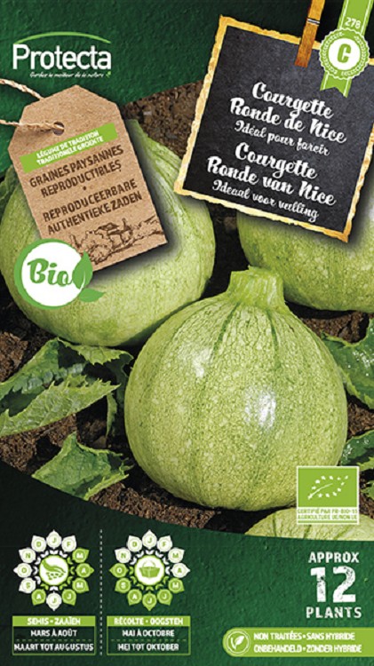 Courgette Ronde van Nice FR-BIO-15 nr. 278