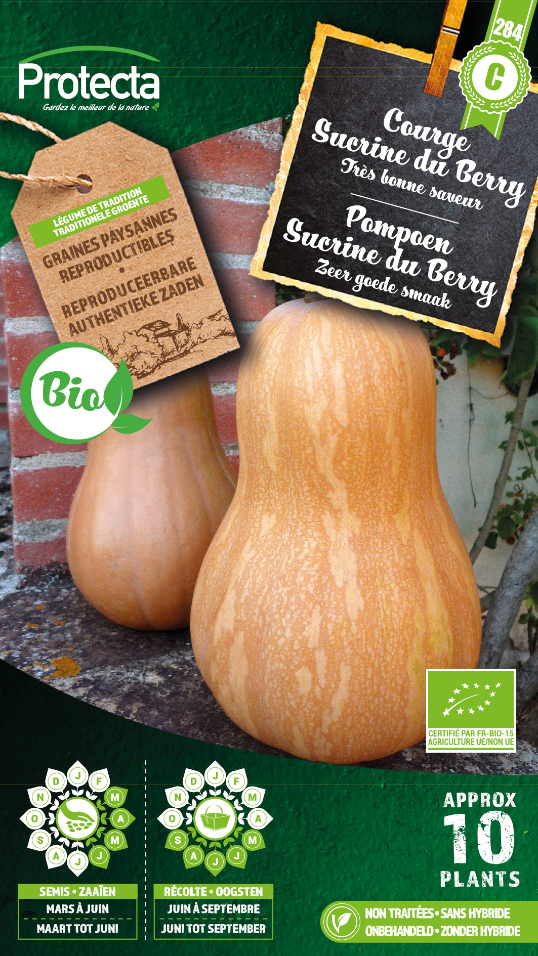 Pompoen Sucrine du Berry FR-BIO-15 nr. 284