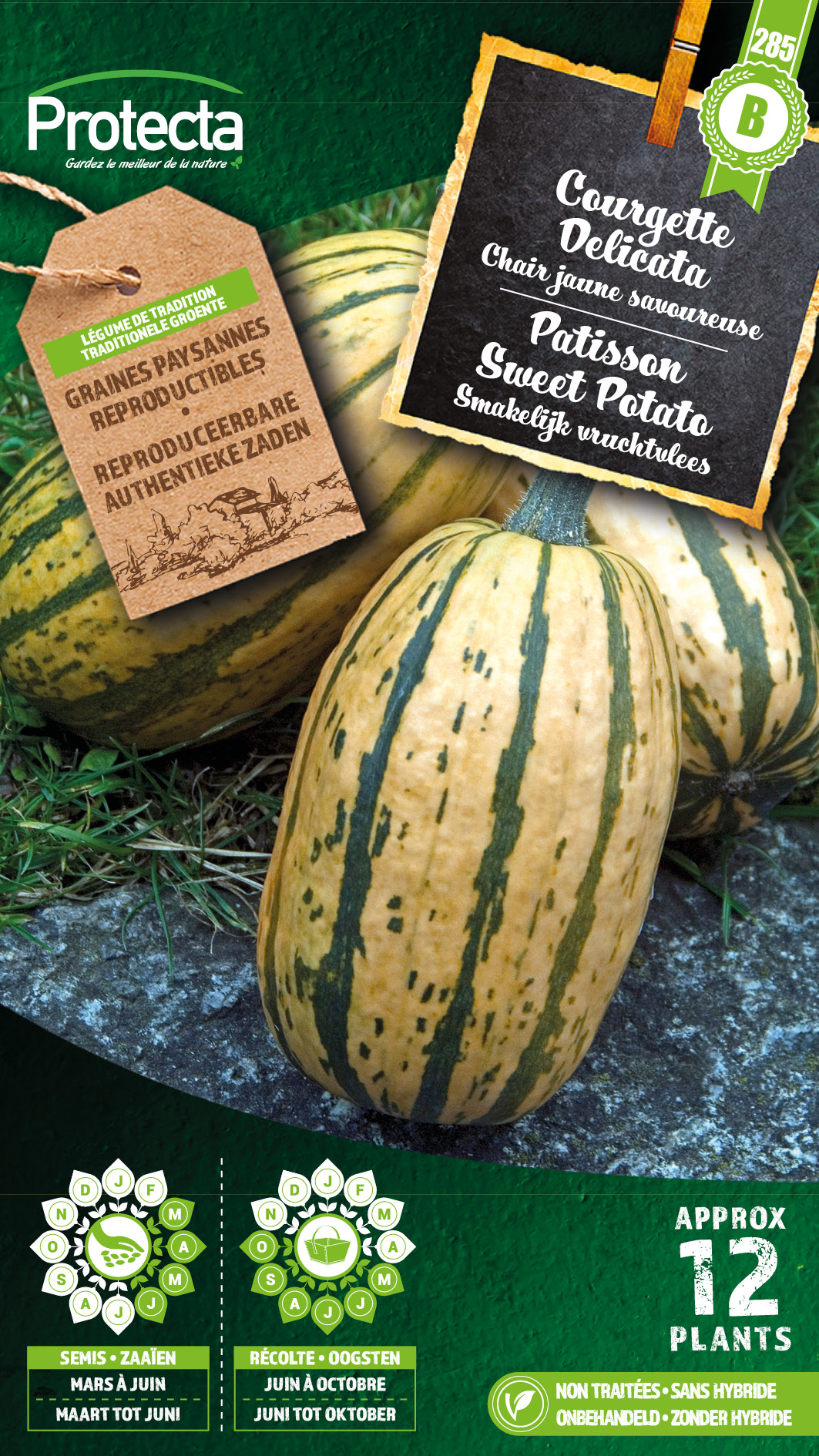 Patisson Sweet Potato nr. 285