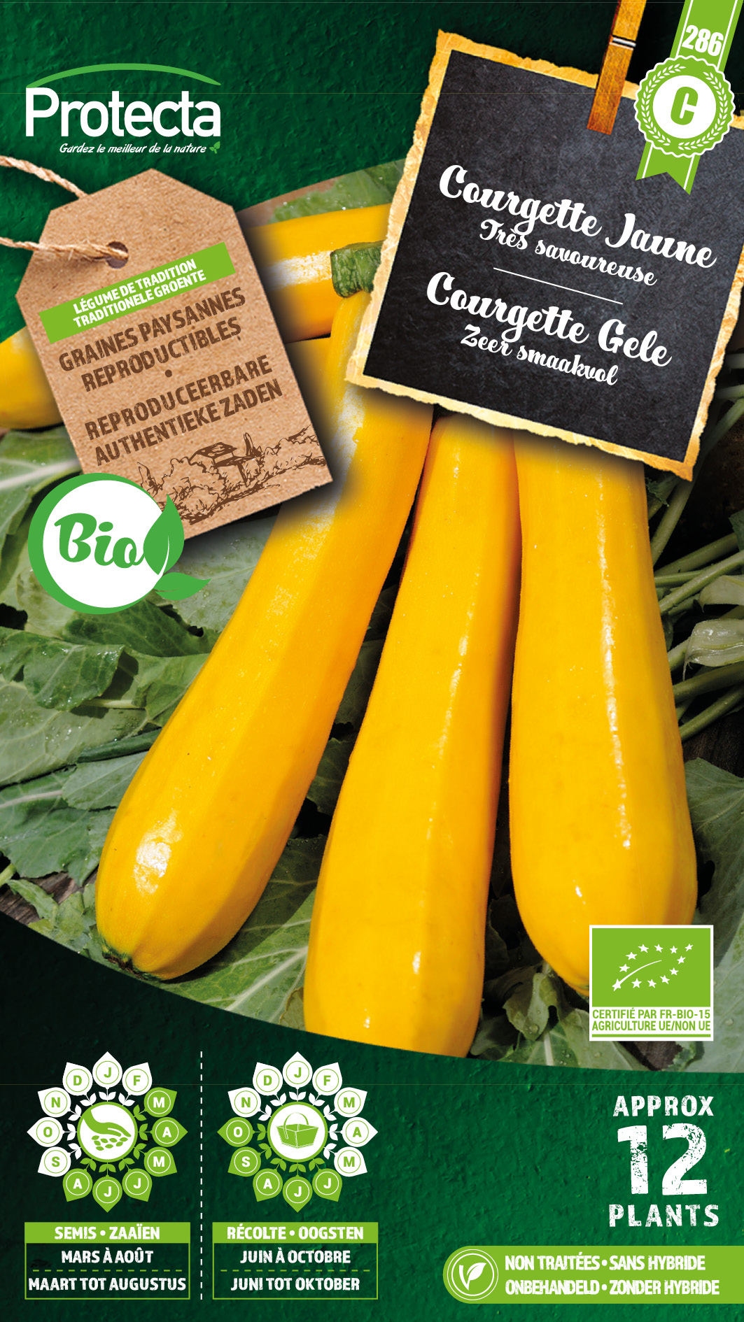 Courgette Gele FR-BIO-15 nr. 286