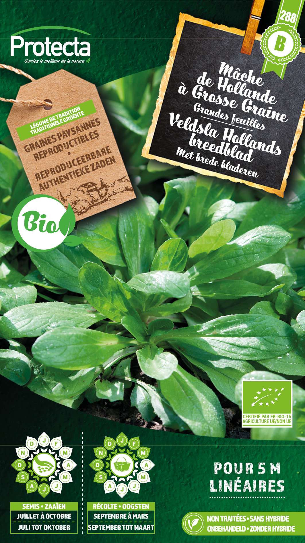 Veldsla Hollands breedblad nr. 288