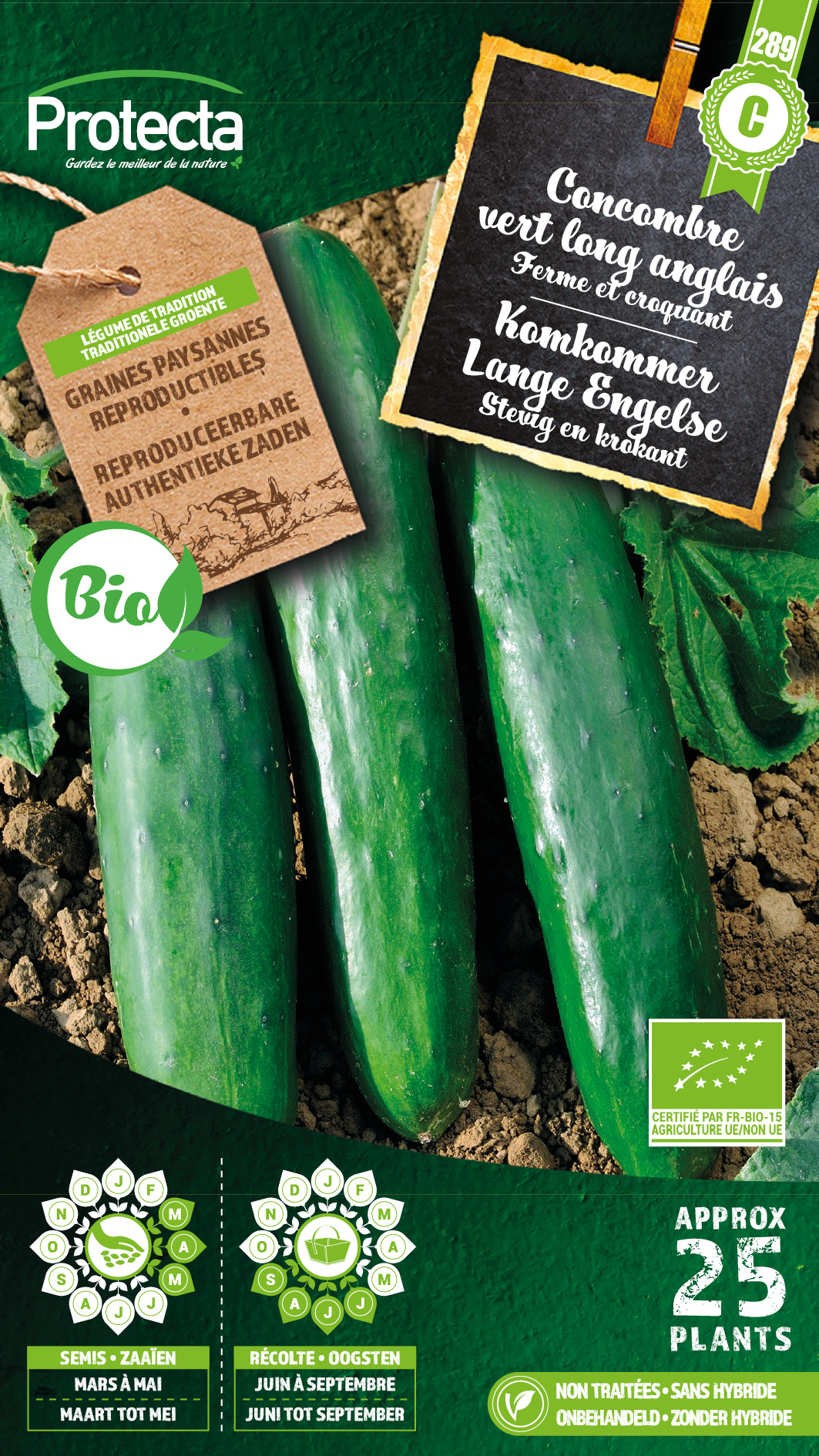 Komkommer Lange Engelse FR-BIO-15 nr. 289