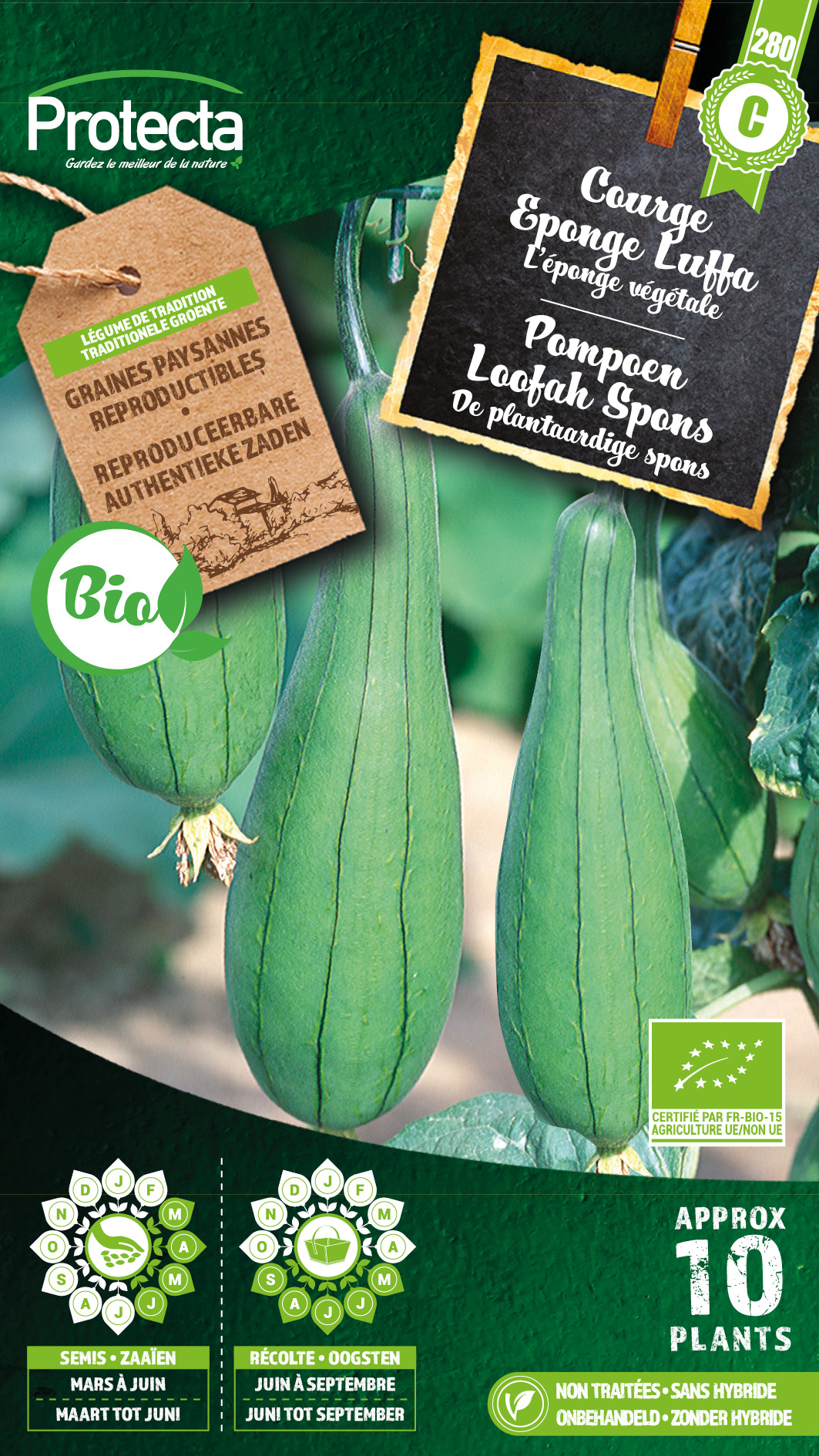 Pompoen Loofah Spons  FR-BIO-15
