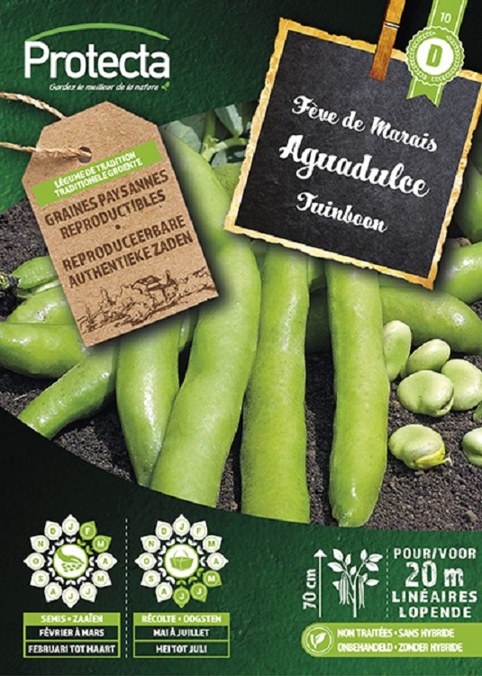 Tuinboon AGUALDUCE met zeer lange dop nr. 10