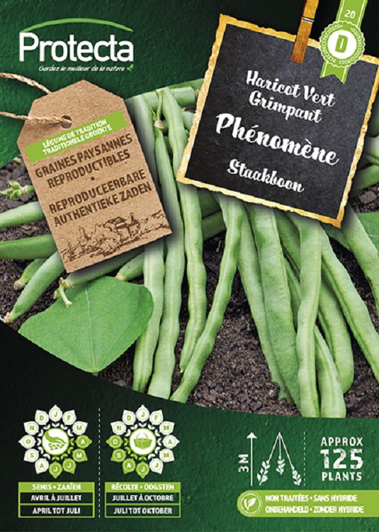Staakboon PHENOMENE nr. 20