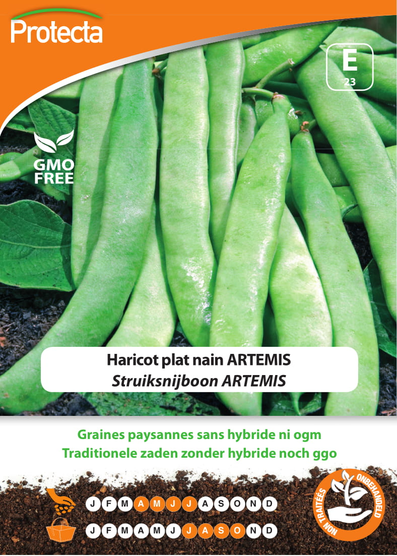 Struiksnijboon ARTEMIS nr. 23