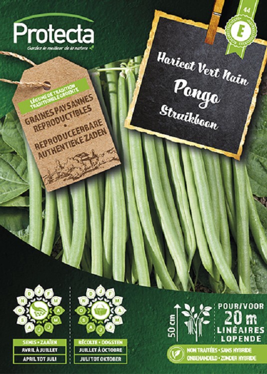 Extrafijne struikboon PONGO nr. 44