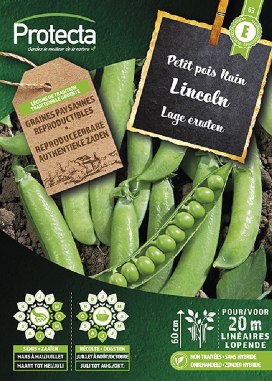 Lage erwten LINCOLN nr. 63