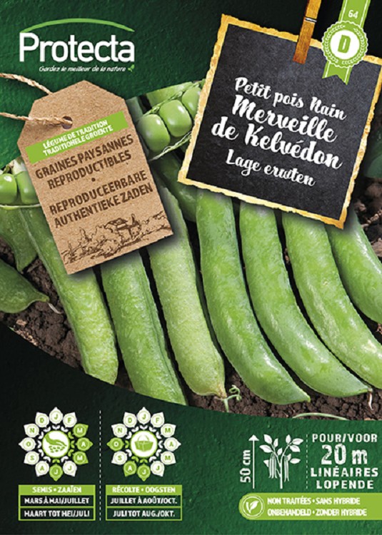 Lage erwten Wonder van Kelvedon nr. 64