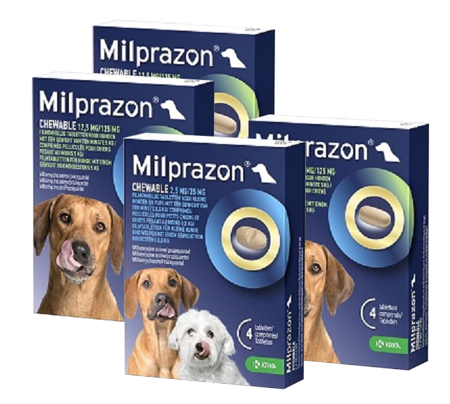 Smakelijke Kauw-wormtabletten voor honden