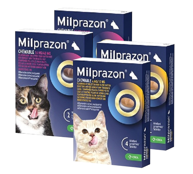 Smakelijke Kauw-wormtabletten voor Katten