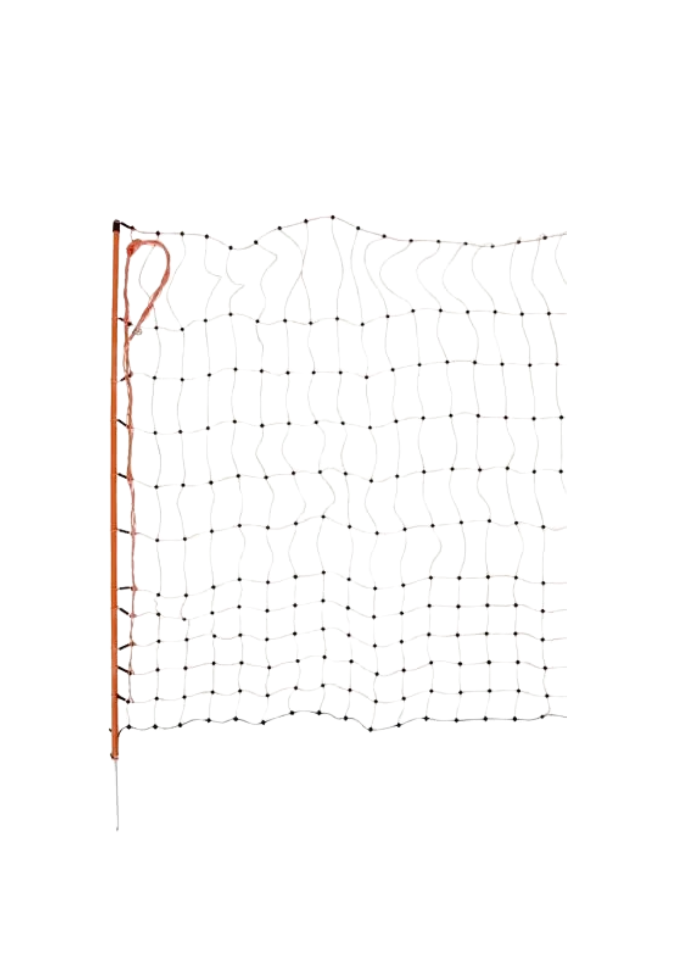 Pluimveenet 50m, 112cm enkele pen
